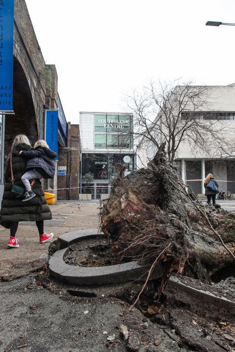 Arbres déracinés, toitures arrachées: les dégâts de la tempête Eunice en images