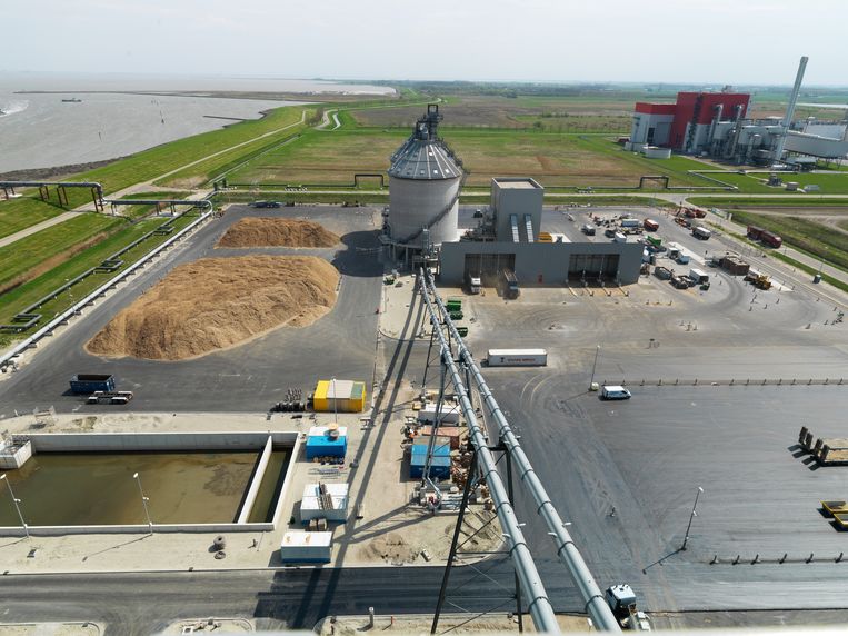 Een biomassacentrale van Eneco.  Beeld Hans Banus