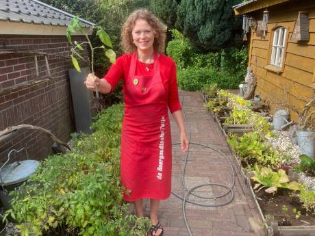 ‘Zonde om niet verkochte groenten in kliko te gooien’, 
 moestuinplanten voor vluchtelingen en scholen