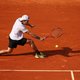 Del Potro en Haas zeggen Roland Garros af