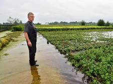 Nooit meer natte voeten in Gouwepolder? Dat niet, maar dankzij duikers lopen kwekerijen minder snel onder