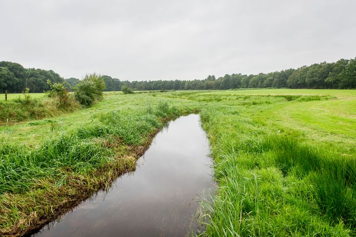 Ter illustratie, foto genomen in Beckum.
