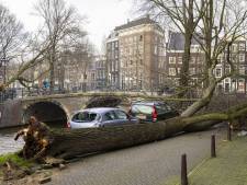 Interpolis heeft al ‘erg veel’ meldingen van stormschade binnengekregen