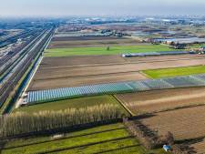 Nieuwe kink in kabel zonnepark Kijfhoef: buren voelen zich bedrogen door initiatiefnemers