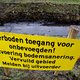 Zijn genetisch gemodificeerde organismen veilig te gebruiken?