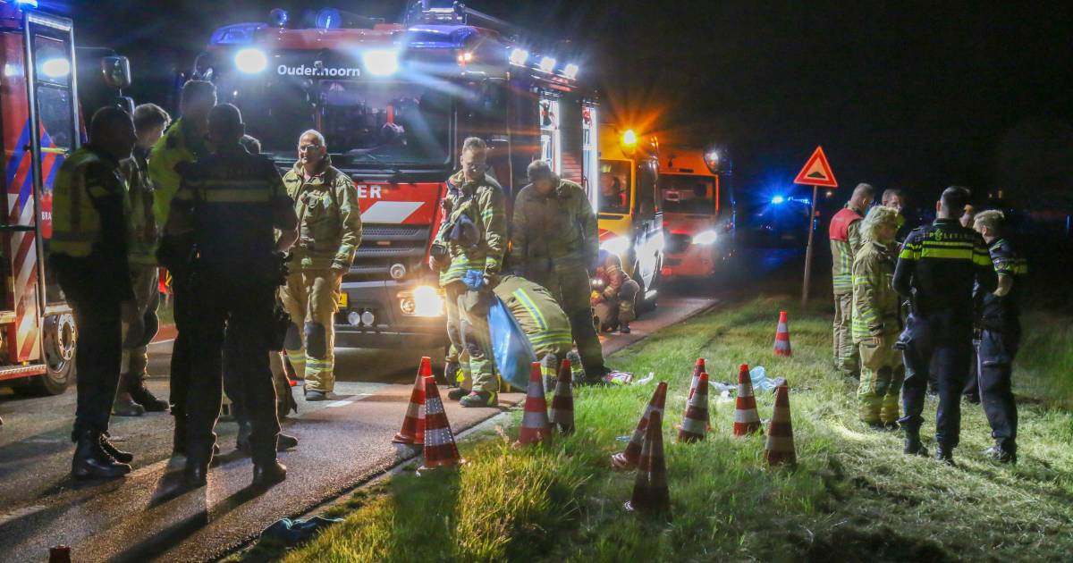 Werkstraf voor man die Petra doodreed: ‘Gebrek aan verantwoordelijkheidsbesef’
