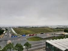 Bloemenveiling Royal FloraHolland wil helemaal niet weg uit Westland: ‘Het areaal groeit hier juist’