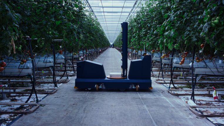 Wilde dieren en planten nemen de regie over in een groentekas, zo is te zien in de film Agrilogistics van Gerard Ortin Castellvi uit 2022. Beeld Gerard Ortin