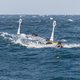 Plasticvanger van Boyan Slat op weg naar plasticsoep
