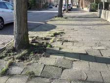 Bordjes met 'Slecht trottoir' jongste wapenfeit in affaire Bavelselaan