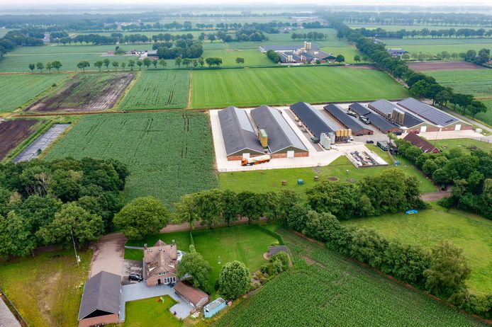 Rechtsboven het Deurnese pluimveebedrijf dat uit mag breiden, linksonder het perceel waar in 2014 een veehouder werd uitgekocht omdat de straat werd bestempeld als overbelast.