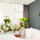 Waarom millennials gek zijn op planten