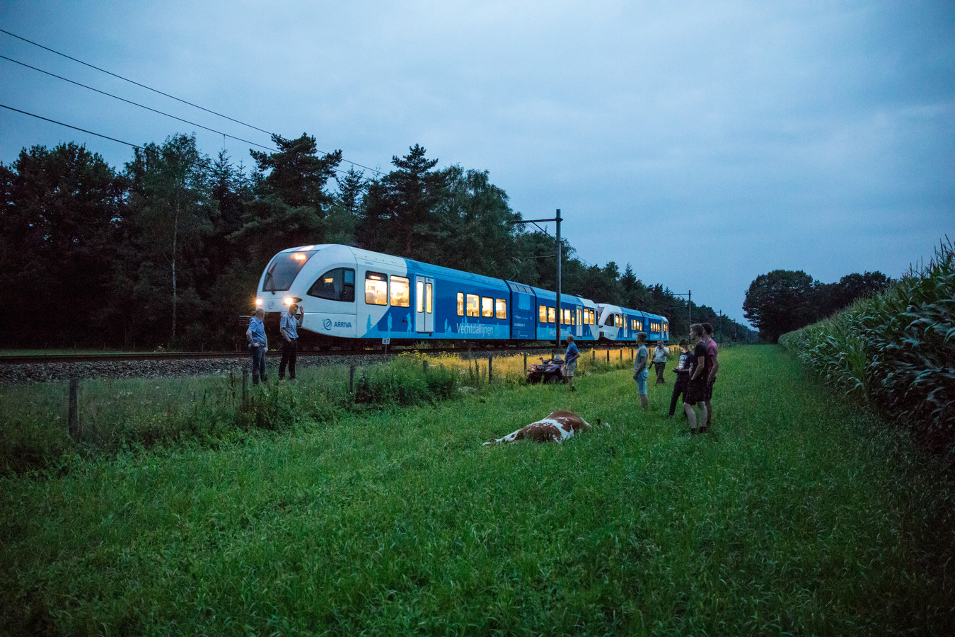 Een trein van Arriva in actie.