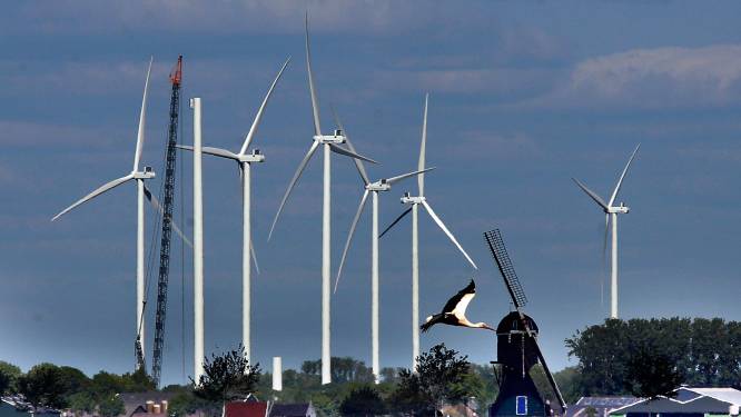 Provincie eist dat bewoners kunnen meepraten over Gorcumse windmolens: ‘Wethouder is op de vingers getikt’