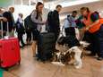 Douane Brussels Airport nam dit jaar al ruim 1,5 miljoen euro cash in beslag