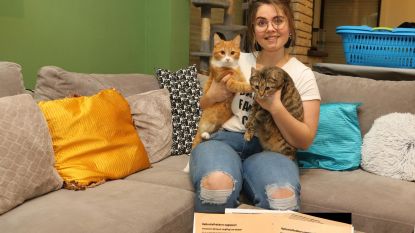 Babette (25) wil kattendoder voor de rechter