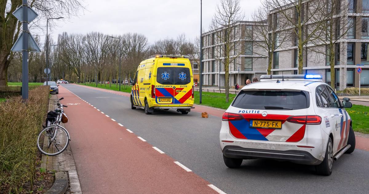 Fietsster gewond bij botsing met auto in Den Bosch.