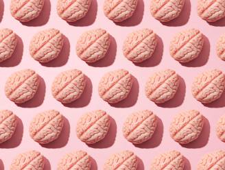 Ook onder de hersenpan zijn man en vrouw anders: “Het brein van vrouwen is kleiner, maar werkt harder”