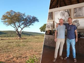 Didier (60) zegt carrière als bankdirecteur vaarwel en volgt zoon Simon (30) naar Zuid-Afrika: “Sommigen verklaren me gek”