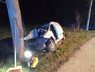 Bestuurder gewond na klap tegen boom