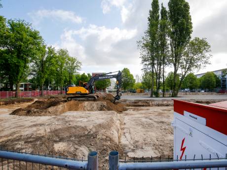 Utrechtse woningcorporatie in de fout met kap van 21 bomen en wordt mogelijk zelfs vervolgd