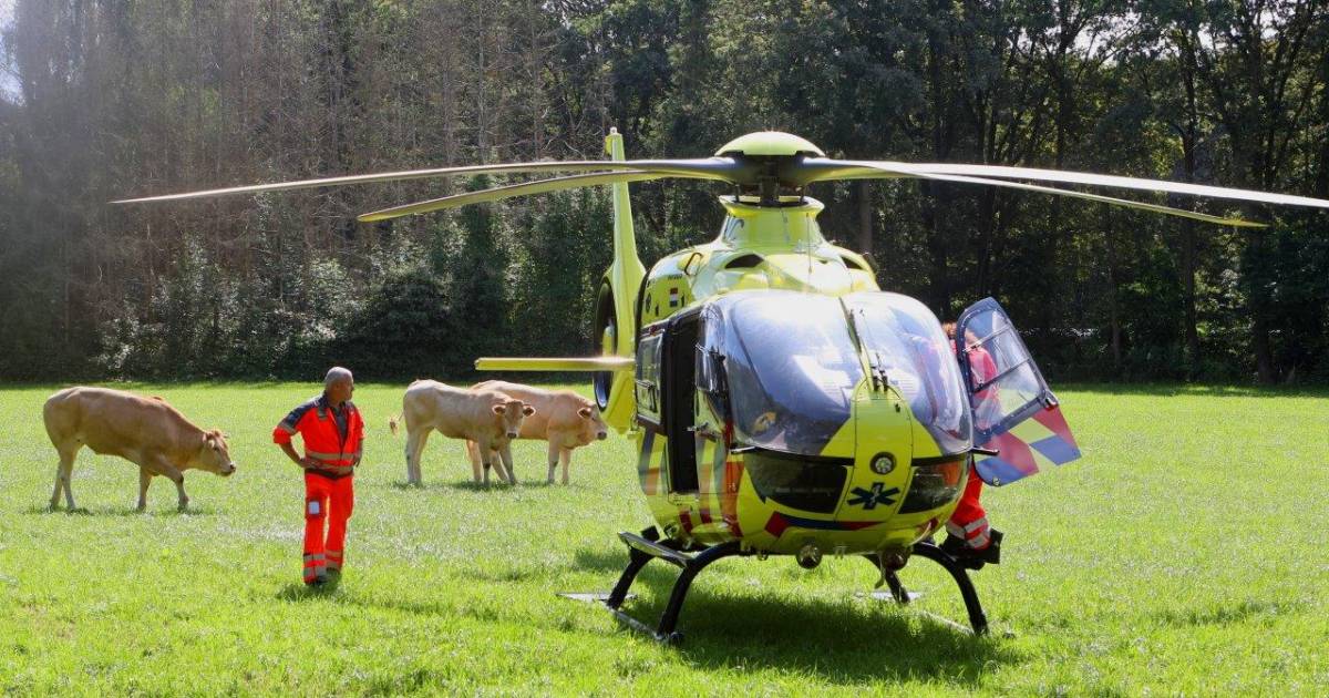Wielrenner gewond bij ongeval in Cromvoirt, traumahelikopter landt tussen de koeien.