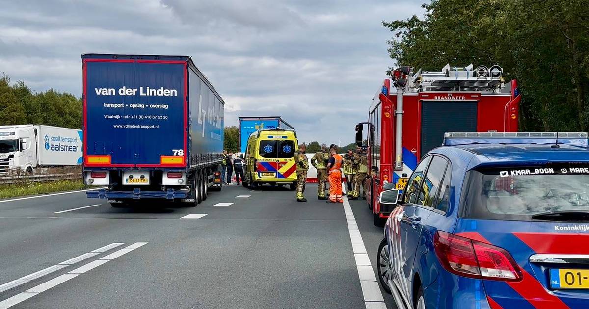Dodelijk ongeval in file bij grenscontroles op A1 bij De Lutte: auto komt onder trailer van truck