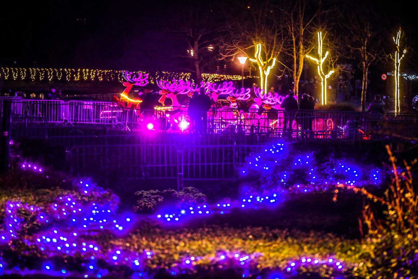 Heeft Middelkerke de mooiste kerstverlichting? Normandpark blijft