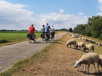 Woningbouw, Beverpad en zeven andere plannen waar Drimmelen in 2023 haar geld aan uitgeeft