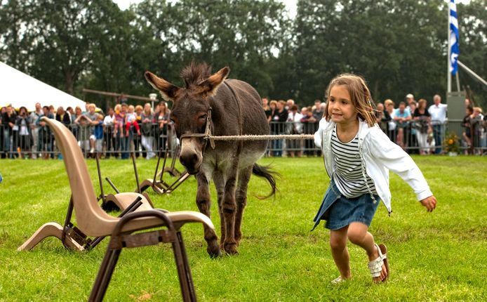 Een boerenknol als trekpaard voor een kar met hooi. Het zijn dit soort nostalgische beelden die de Boerendag mede zo populair maken.