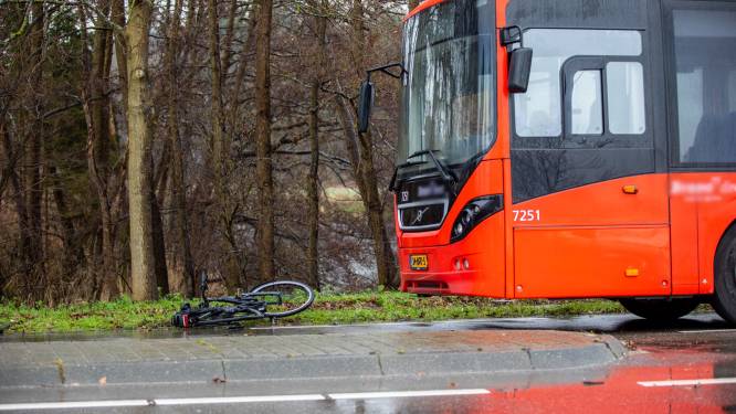 Fietser (78) overleden na aanrijding met lijnbus in Steenbergen