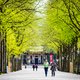 Stadspaleis zoekt huurder: Wie wil er een kantoor op het Lange Voorhout in Den Haag?