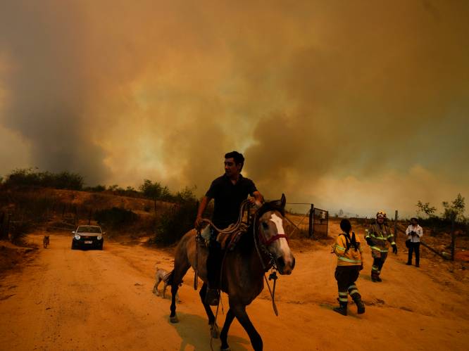 Chili arresteert brandweerman, verdacht van aansteken bosbranden met 137 doden