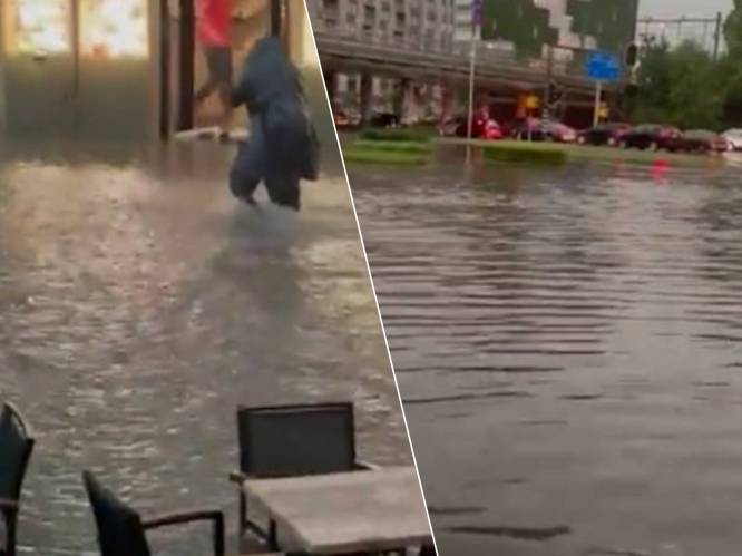 “Tot 88 liter regen per vierkante meter op een uur tijd”: zware onweersbuien veroorzaken wateroverlast en schade in Limburg en Antwerpen
