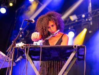 Heuglijk nieuws: Jazz Middelheim komt terug in 2024