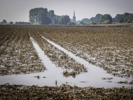 Driekwart boeren wapent zich tegen grilliger klimaat
