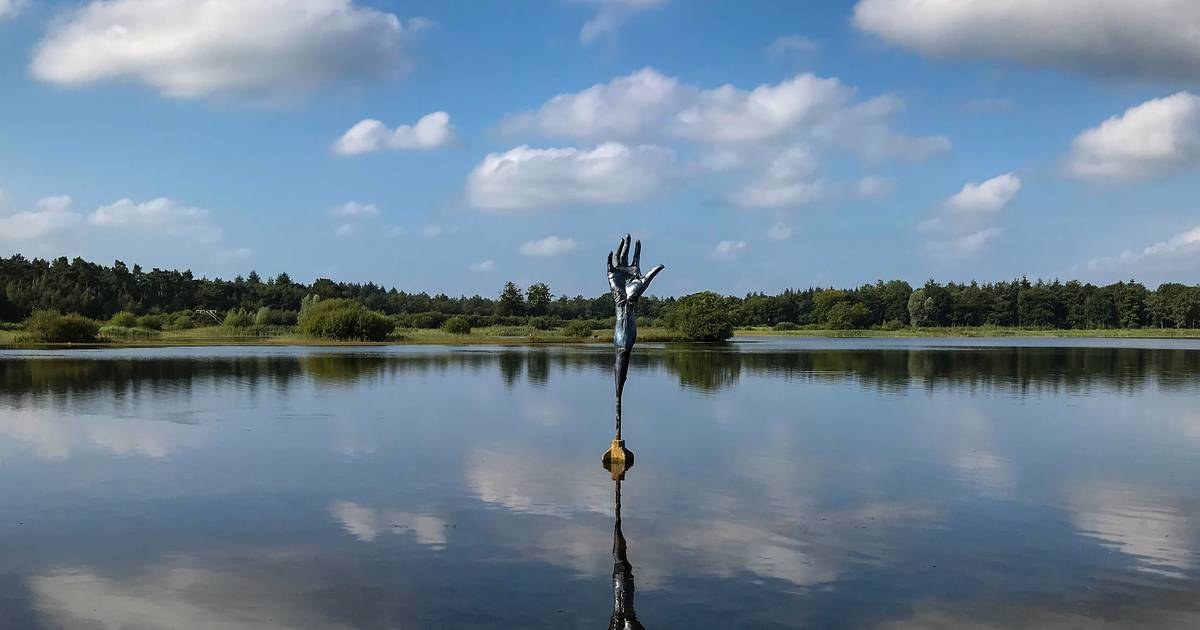 LandArt in Knegsel: ‘Lint van kunstwerken door de hele gemeente ...