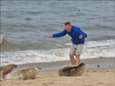 Des touristes harcèlent des phoques sur la plage