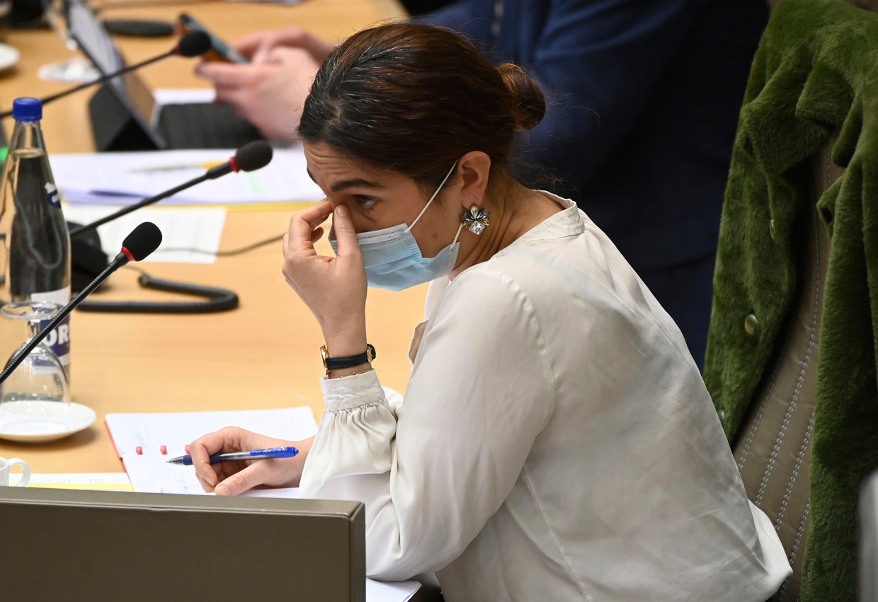 Vlaams minister van Energie Zuhal Demir (N-VA). Beeld Photo News