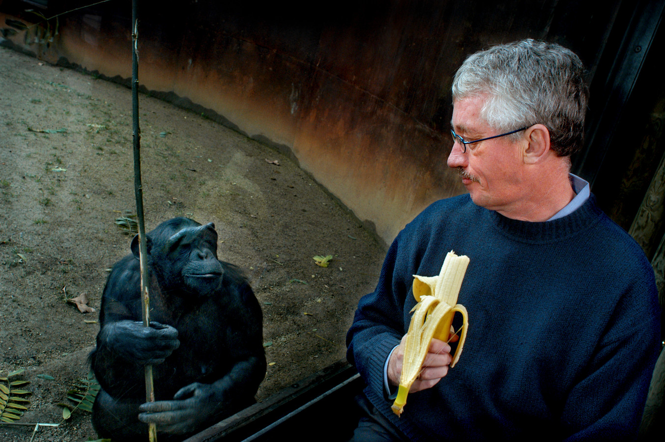 Wereldberoemde primatoloog Frans de Waal (75) overleden: de man die ...