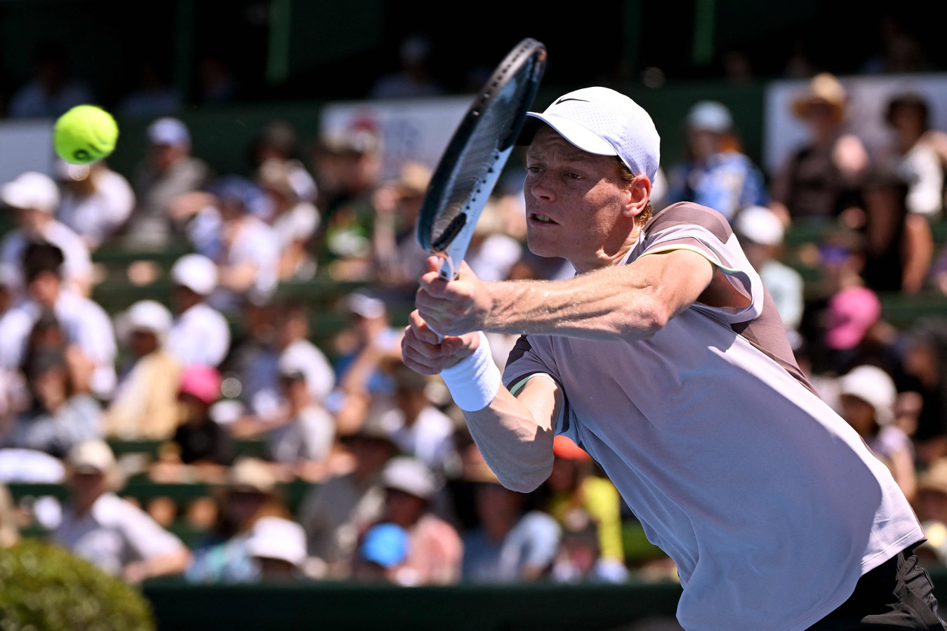 Loting Australian Open loodzware opgave voor Botic van de Zandschulp