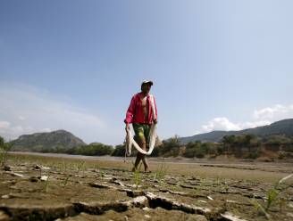 Weerfenomeen El Niño, dat recordtemperaturen in de hand werkt, is begonnen