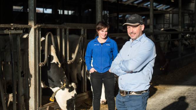 ‘Het idylische plaatje van vee in de polders waar iedereen van kan genieten, ontstaat niet vanzelf’