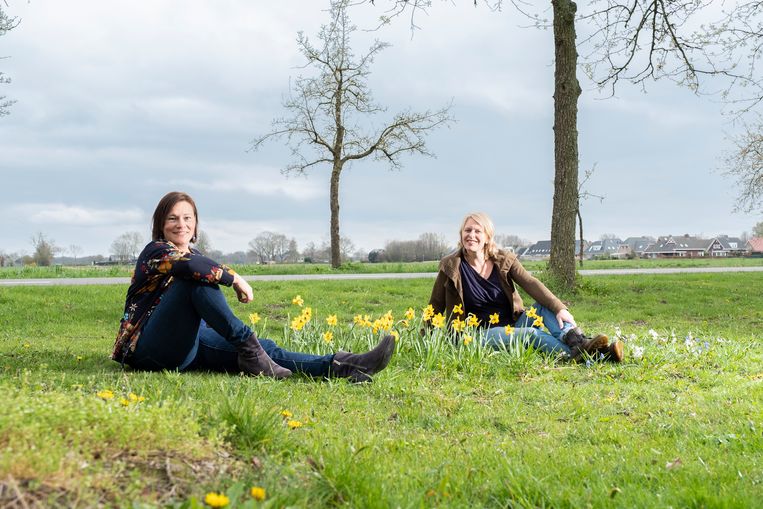 Bemiddelaar abces Handig Avontuurlijk tuinieren: tien tips om weer leven in je tuin te brengen |  Trouw