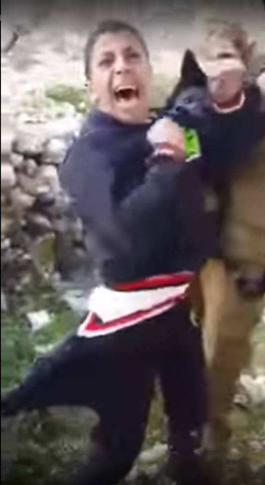 Videostill van het filmpje o Facebook. Hamzes Abu Hashem wordt gebeten door een hond.