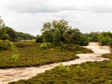 Dit is het mooiste wandelpad: ‘Je waant je even in het Nederland van eeuwen terug’