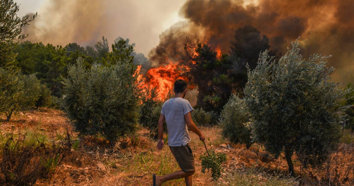 Grecia e Turchia evacuano i villaggi a causa degli incendi boschivi, evacuati anche i turisti |  all’estero