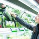 Libelle Legt Uit: kun je voorgesneden groenten in een bolstaand zakje nog eten?