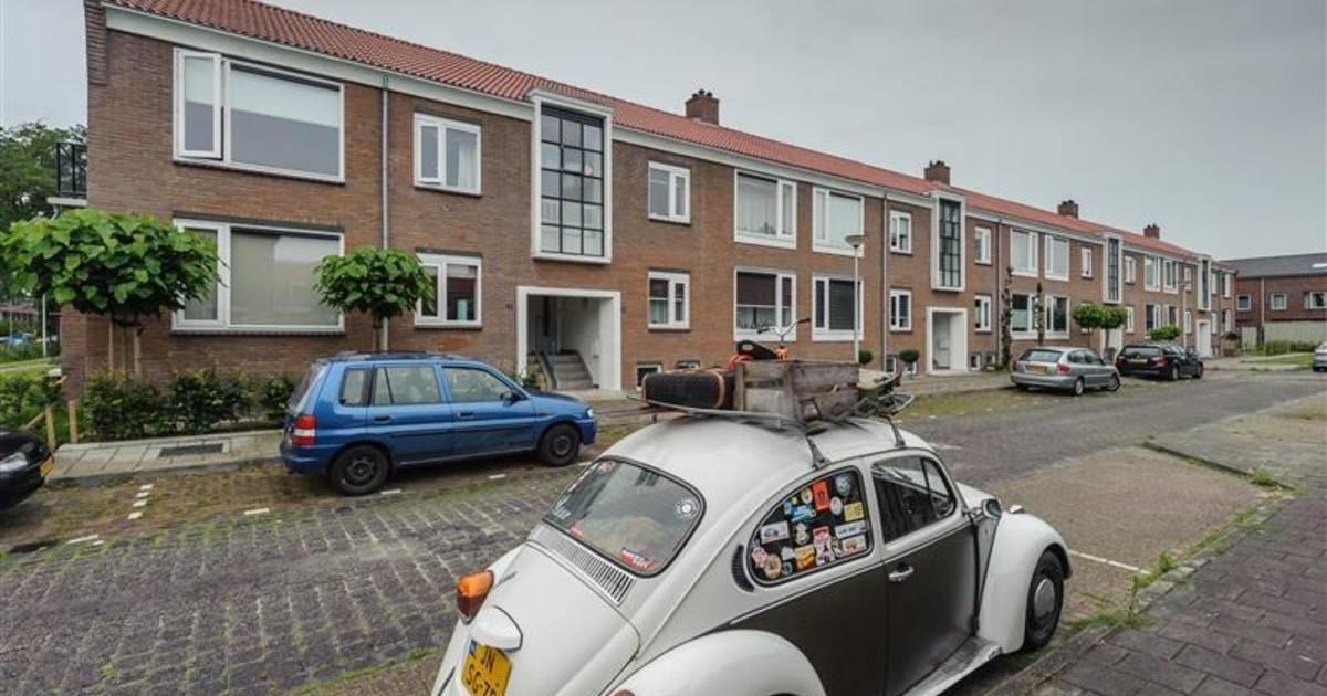 Maaiveld | Groot in Klein Driene