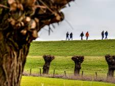 Het loopt nog niet storm voor ‘corona-testwandeling’ in Boskant